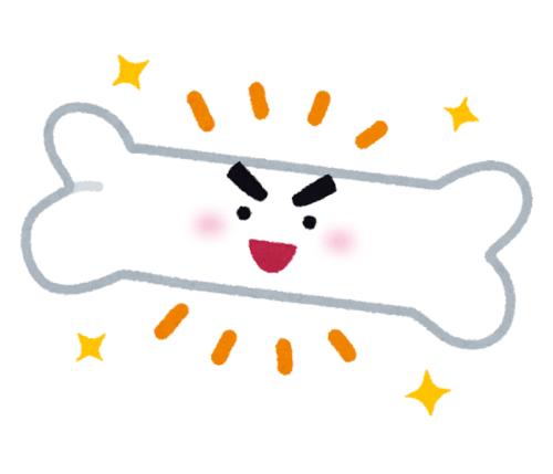 骨密度の増加について